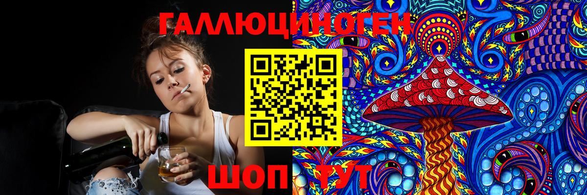 Галлюциногенные грибы Psilocybe Салехард