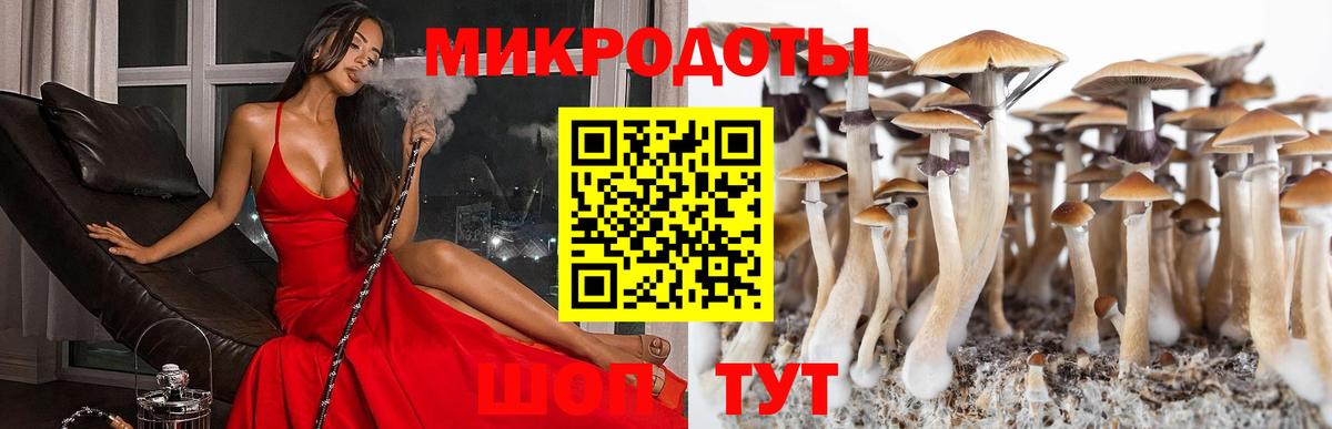 Салехард  как найти закладки  Вход с VPN  Галлюциногенные грибы MAGIC MUSHROOMS  Галлюциногенные грибы мухоморы 